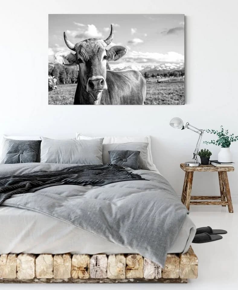 Pixxprint Leinwandbild Neugierige Kuh Allgäu Monochrome - Bild 3
