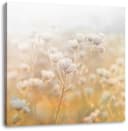 Pixxprint Leinwandbild Romantische Blumenwiese Bunt/Gelb Bild 2