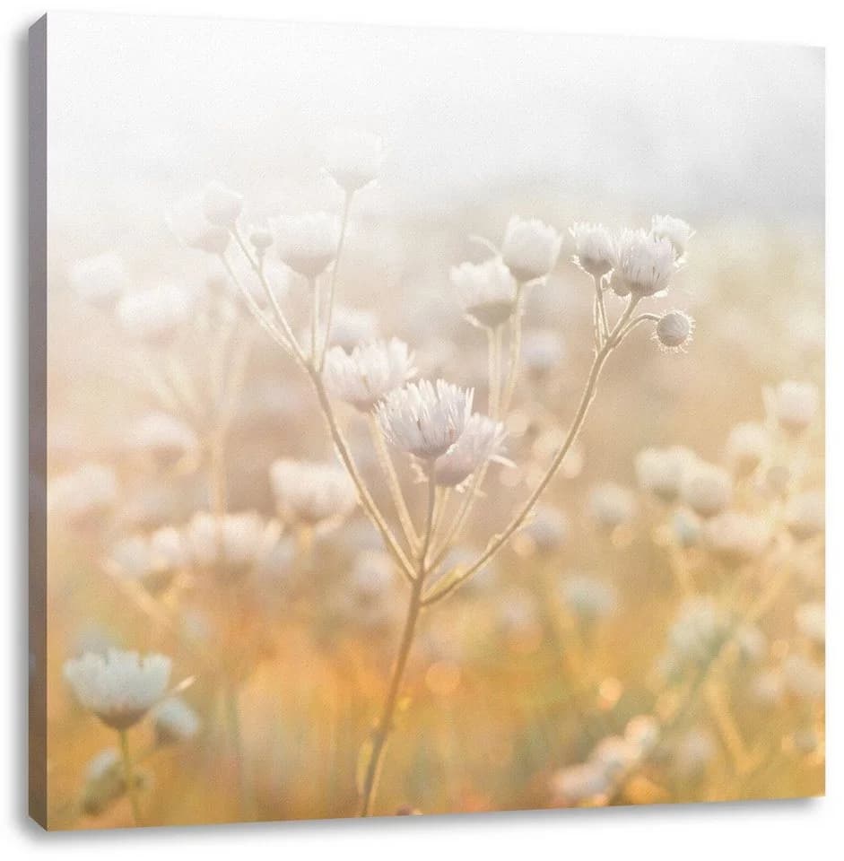 Pixxprint Leinwandbild Romantische Blumenwiese Bunt/Gelb - Bild 2