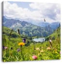 Pixxprint Leinwandbild Wiesenblumen in den Bergen Bunt Bild 2