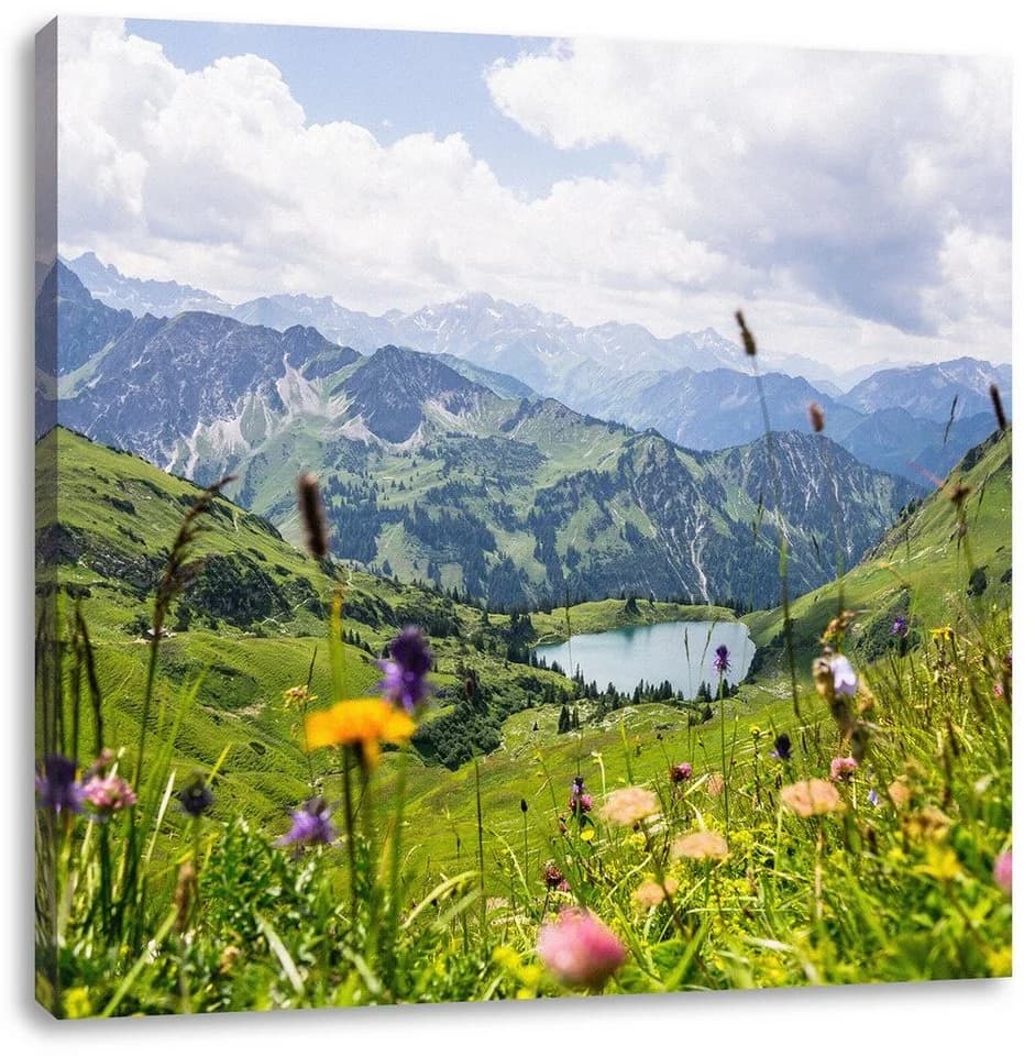 Pixxprint Leinwandbild Wiesenblumen in den Bergen Bunt - Bild 2