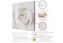 Bilderdepot24 Leinwandbild Rose Weiß Modern Bild 3