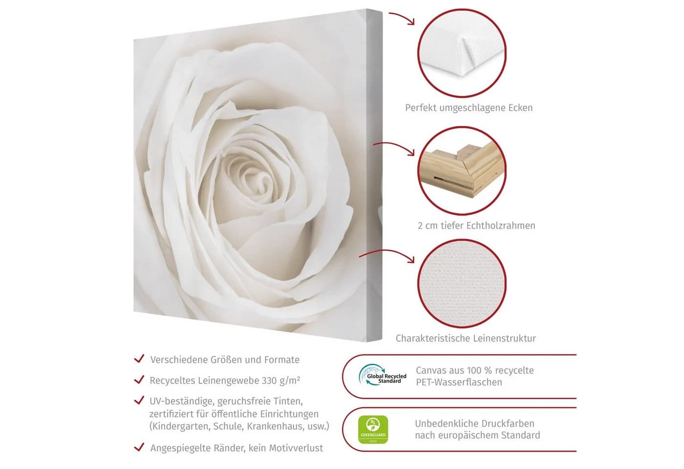 Bilderdepot24 Leinwandbild Rose Weiß Modern - Bild 3