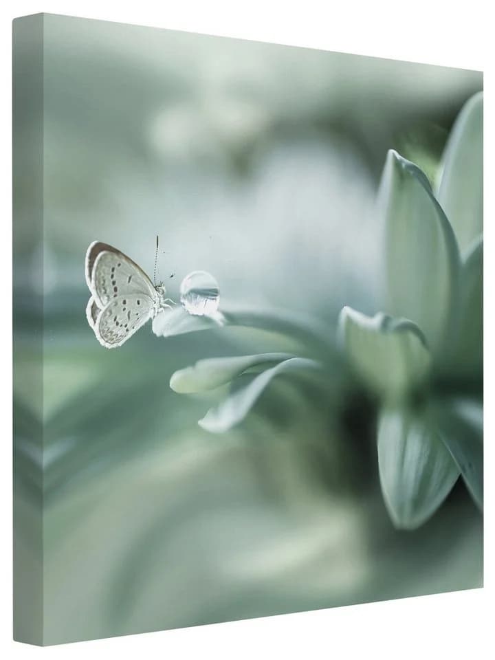 Bilderdepot24 Leinwandbild Blumen Modern Natur Schmetterling pastell XXL - Bild 2