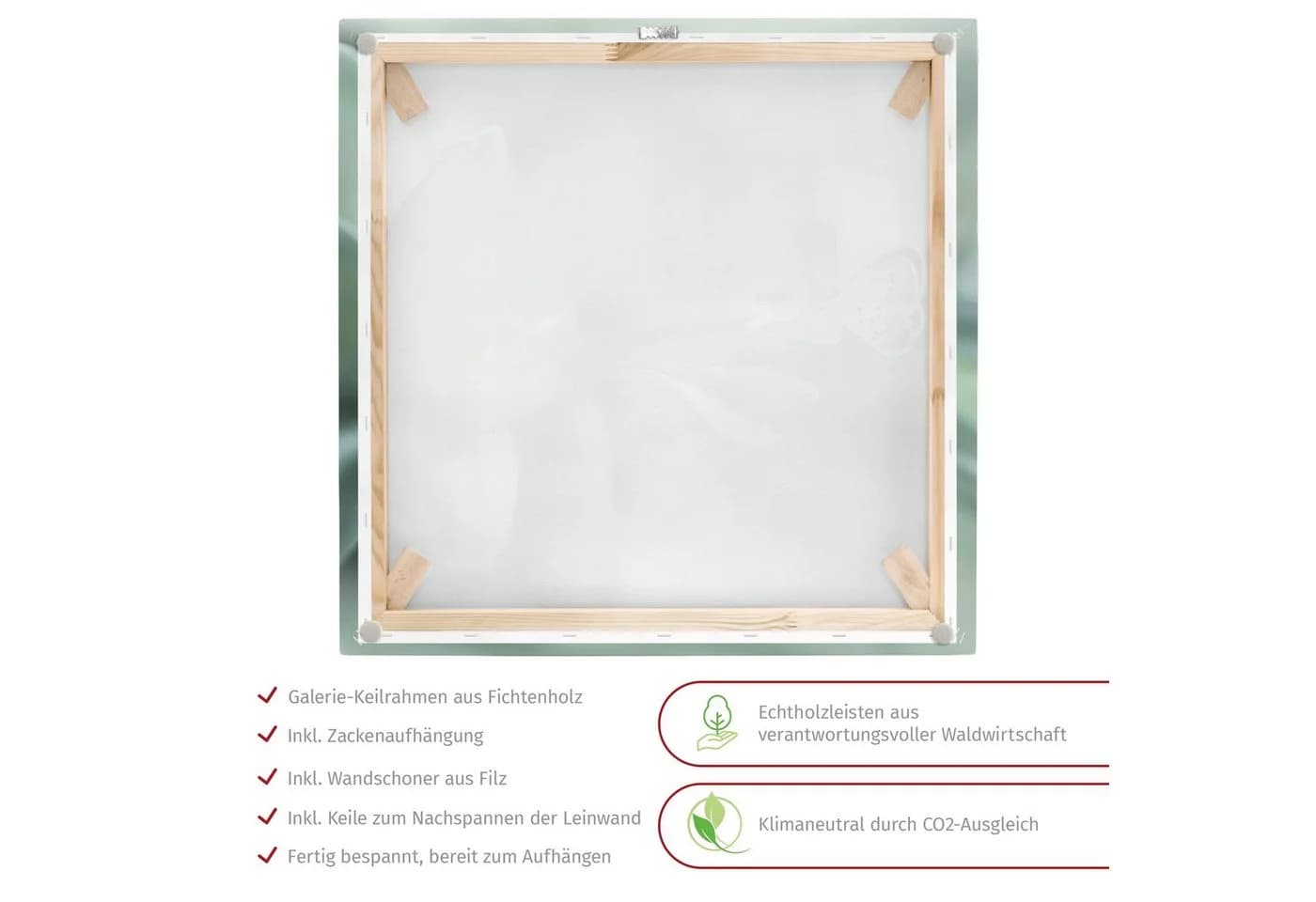 Bilderdepot24 Leinwandbild Blumen Modern Natur Schmetterling pastell XXL - Bild 4