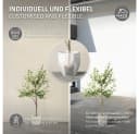 ML-DESIGN Künstlicher Olivenbaum 120 cm mit echtem Holzstamm Bild 5