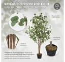 Kunstpflanze Künstliche Pflanze für Wohnräume & Garten dekorative Zimmerpflanze, ML-DESIGN, Höhe 150 cm, Kunstbaum Eukalyptus für Innen & Außen mit Echtem Moos & Echtholzstamm Bild 4