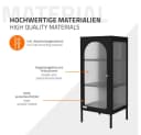 ML-DESIGN Vitrinenschrank Schwarz mit Rosegold-Griffen Bild 5