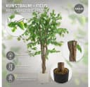 Kunstpflanze Ficus 120 cm ML-DESIGN Bild 1