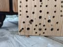 Holz Frank Nistkasten Insektenhotel aus Ahornholz – Nistholz für Wildbienen Bild 1