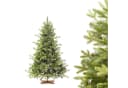 Fairytrees Künstlicher Weihnachtsbaum FT32 Bayerische Tanne Premium Bild 2
