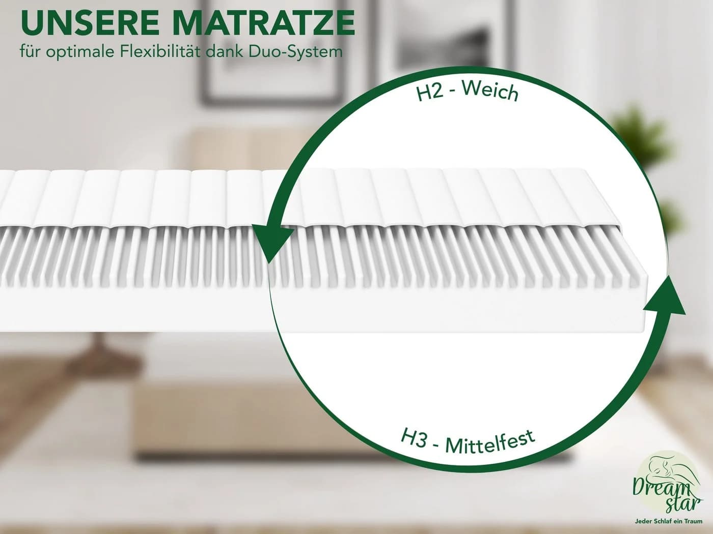 Dreamstar Kaltschaummatratze Easy Flex 7-Zonen Wendematratze - Bild 4