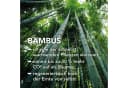 XDREAM Sommerbettdecke Bambus Weiß Leichtes Steppbett Baumwolle Bild 5