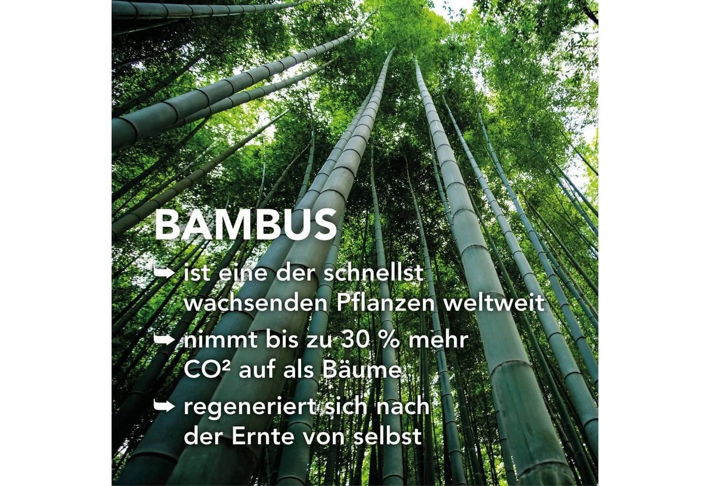XDREAM Sommerbettdecke Bambus Weiß Leichtes Steppbett Baumwolle - Bild 5