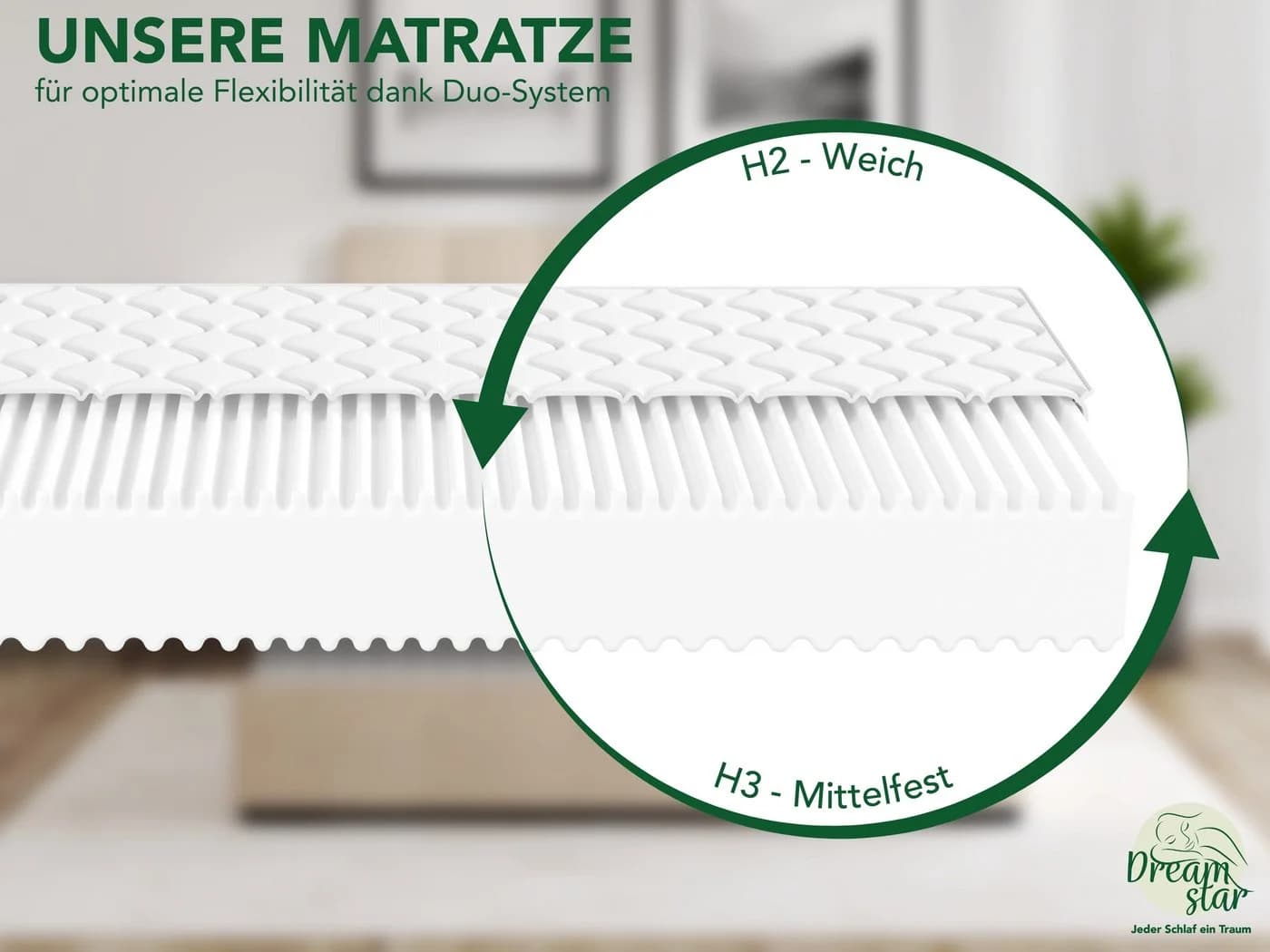 Kaltschaummatratze Ergo Flex, zwei unterschiedlich feste Liegeseiten, Dreamstar, ergonomische 7-Zonen Wendematratze - Bild 5