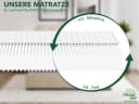 Dreamstar Kaltschaummatratze Ergo Flex 7-Zonen Wendematratze H3/H4 Bild 5