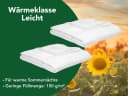 Dreamstar Microfaserbettdecke Eco 2er-Set 4-Jahreszeiten 135x200 cm Bild 5