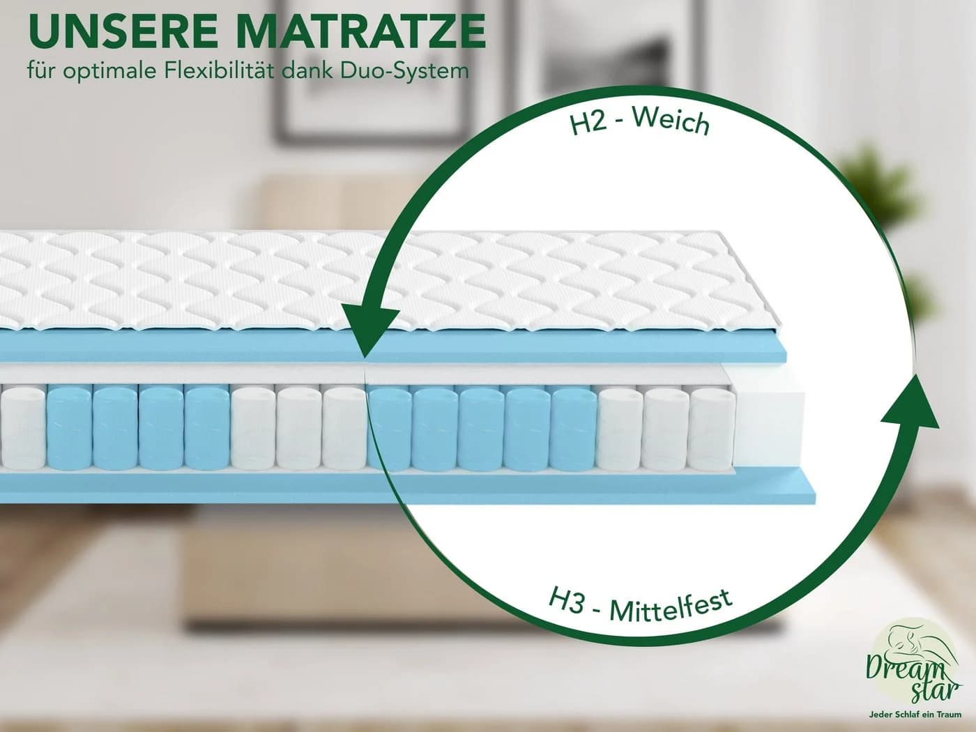 Taschenfederkernmatratze Ergo Flex 7-Zonen Federkernmatratze Dreamstar - Bild 4