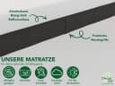 Dreamstar Taschenfederkernmatratze Premium 7-Zonen H2/H3/H4 Bild 4