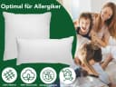 Dreamstar 3-Kammer-Kopfkissen Daunenkissen Weiss Baumwolle Bild 1