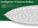 Dreamstar 3-Kammer-Kopfkissen Daunenkissen Weiss Baumwolle Bild 5