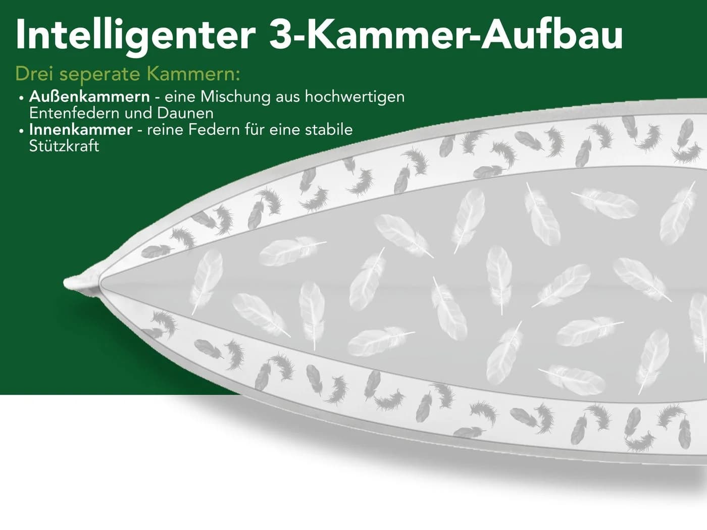 Dreamstar 3-Kammer-Kopfkissen Daunenkissen Weiss Baumwolle - Bild 5