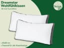 Dreamstar Wohlfühlkissen 40x80 cm Hohlfaserfüllung Lyocell Baumwolle Bild 1