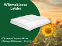 Dreamstar Microfaserbettdecke Eco 2er-Set 4-Jahreszeiten Faserfüllung Bild 5
