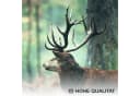 Novart Wandbild Wald Hirsch Aufhängfertig Natur Grün Bild 3
