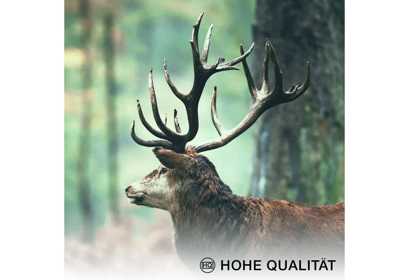 Novart Wandbild Wald Hirsch Aufhängfertig Natur Grün - Bild 3