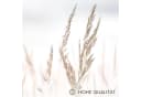 Novart Wandbild Natur Boho See Beige Bild 3