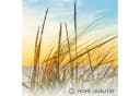 Novart Wandbild Ostsee Strand Meer Boho Wanddeko für Wohnzimmer Bild 3