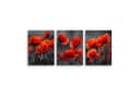 Novart Wandbild Baum des Lebens Abstrakt Modern Set Wohnzimmer Mohnblumen Bild 3