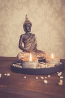 Kamelio Buddhafigur mit Teelicht 22cm Deko-Statue Schwarz Bild 3