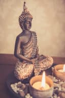 Kamelio Buddhafigur mit Teelicht 22cm Deko-Statue Schwarz Bild 5