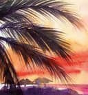 MyMaxxi Zaunbanner Sonnenuntergang Strand Sichtschutz Rosa Polyester Bild 3
