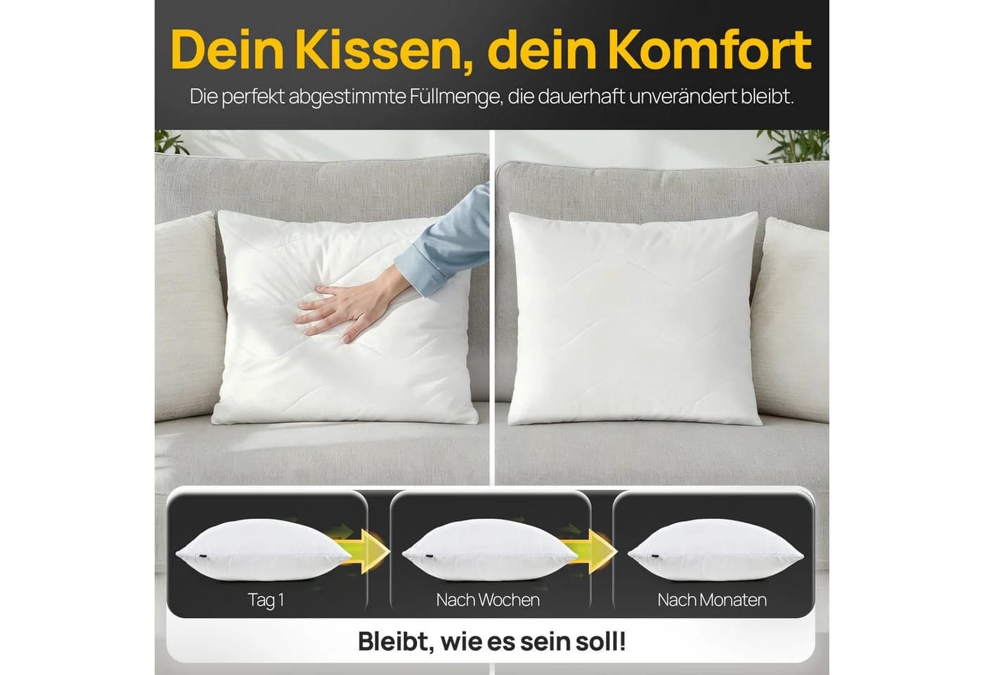 LILENO HOME Kopfkissen 40x40 cm - Made in Germany - Allergikergeeignet