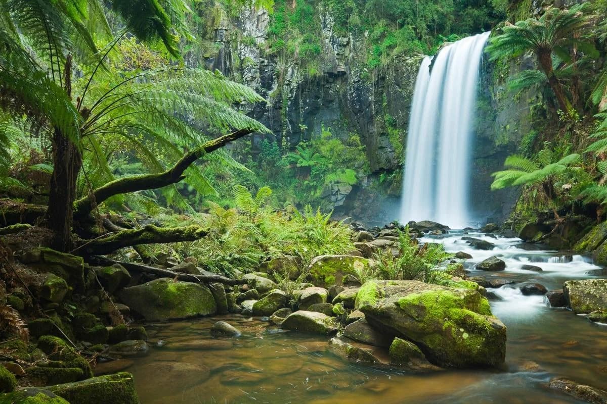 PAPERMOON Fototapete Wasserfall im Wald Vlies Bunt