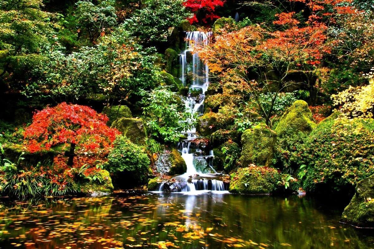 Fototapete PAPERMOON Wasserfall Japanischer Garten Vlies 500x280cm