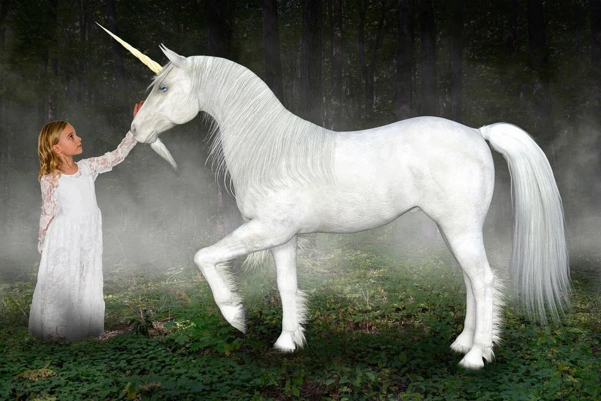 PAPERMOON Fototapete Einhorn Hoffnung Liebe Frieden Vlies Bunt