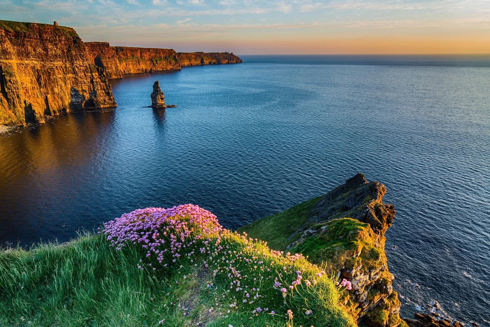 PAPERMOON Fototapete Irland Küste Klippen Blumen Meer Vlies