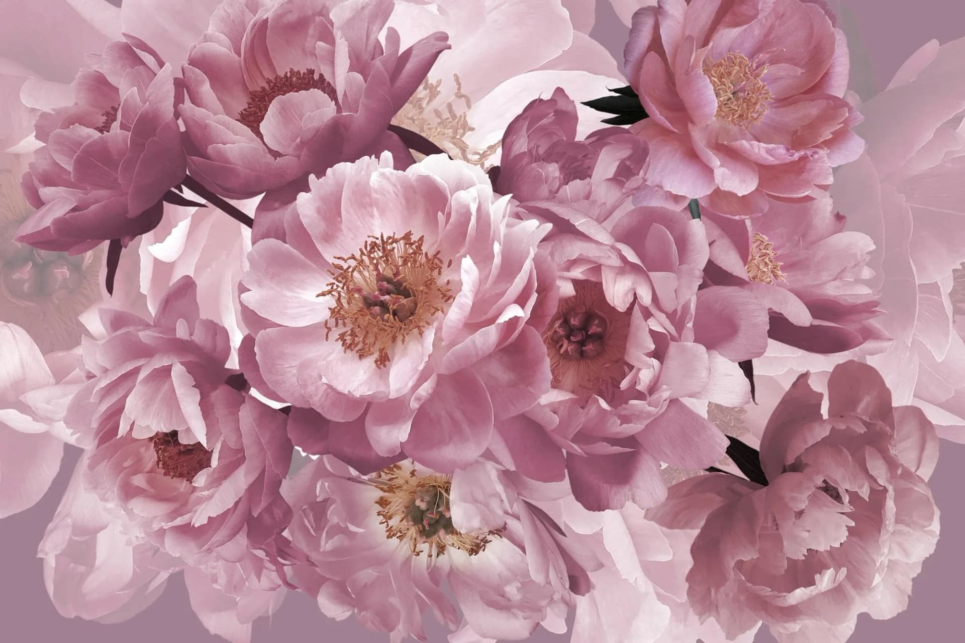 PAPERMOON Vliestapete Blumen Abstrakt Retro Bunt