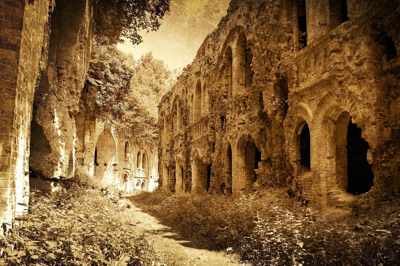 PAPERMOON Fototapete Ruinen-Schloss Mauer Vintage Retro Burg