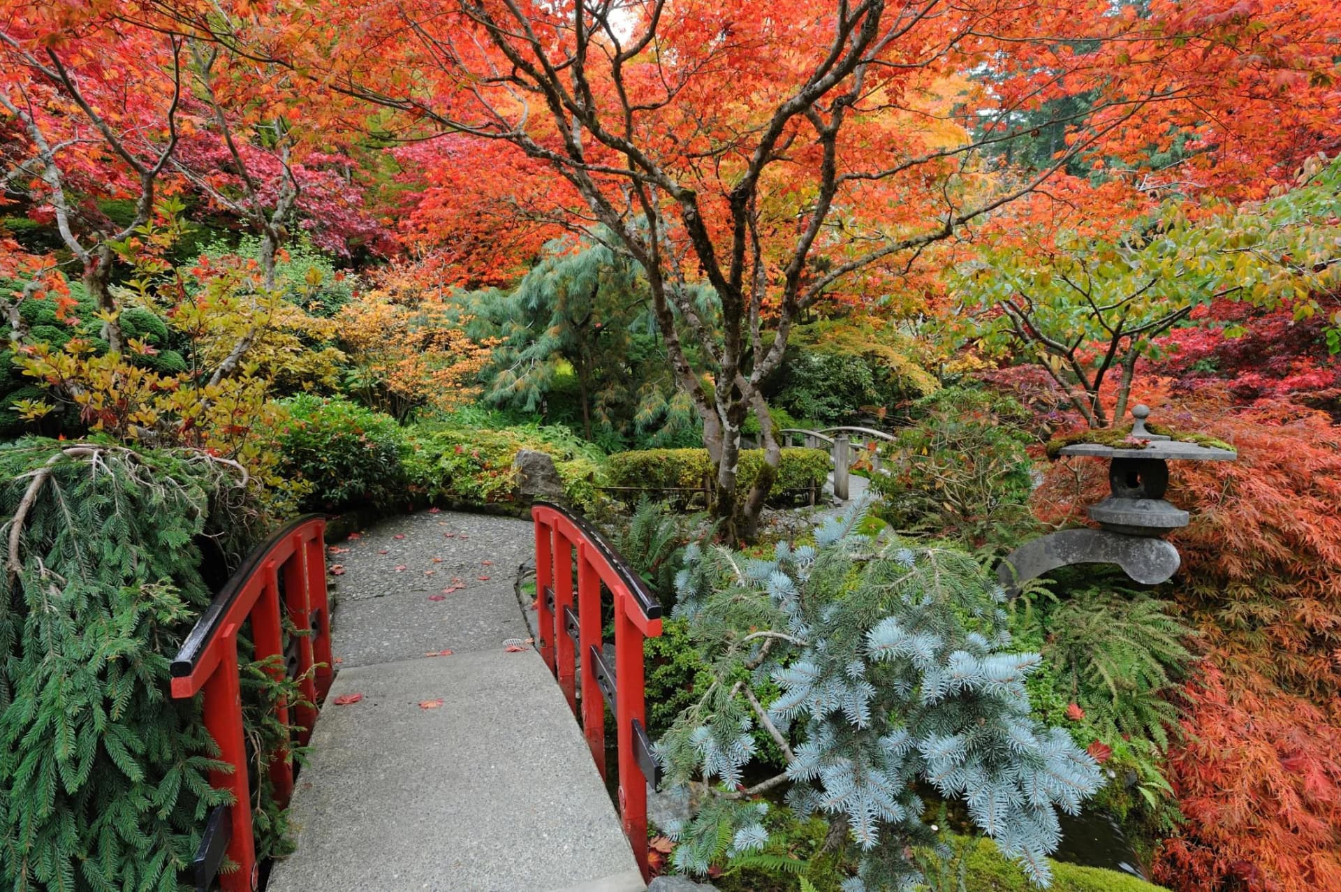 PAPERMOON Fototapete Japanischer Garten Herbst Vlies Bunt
