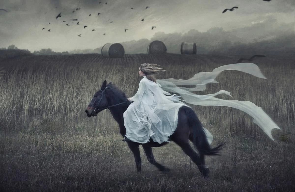 PAPERMOON Fototapete Pferd im Galopp Vlies Bunt