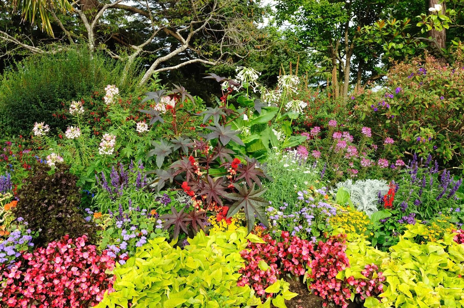 PAPERMOON Fototapete Garten Bäume Blumen Park Vlies Bunt