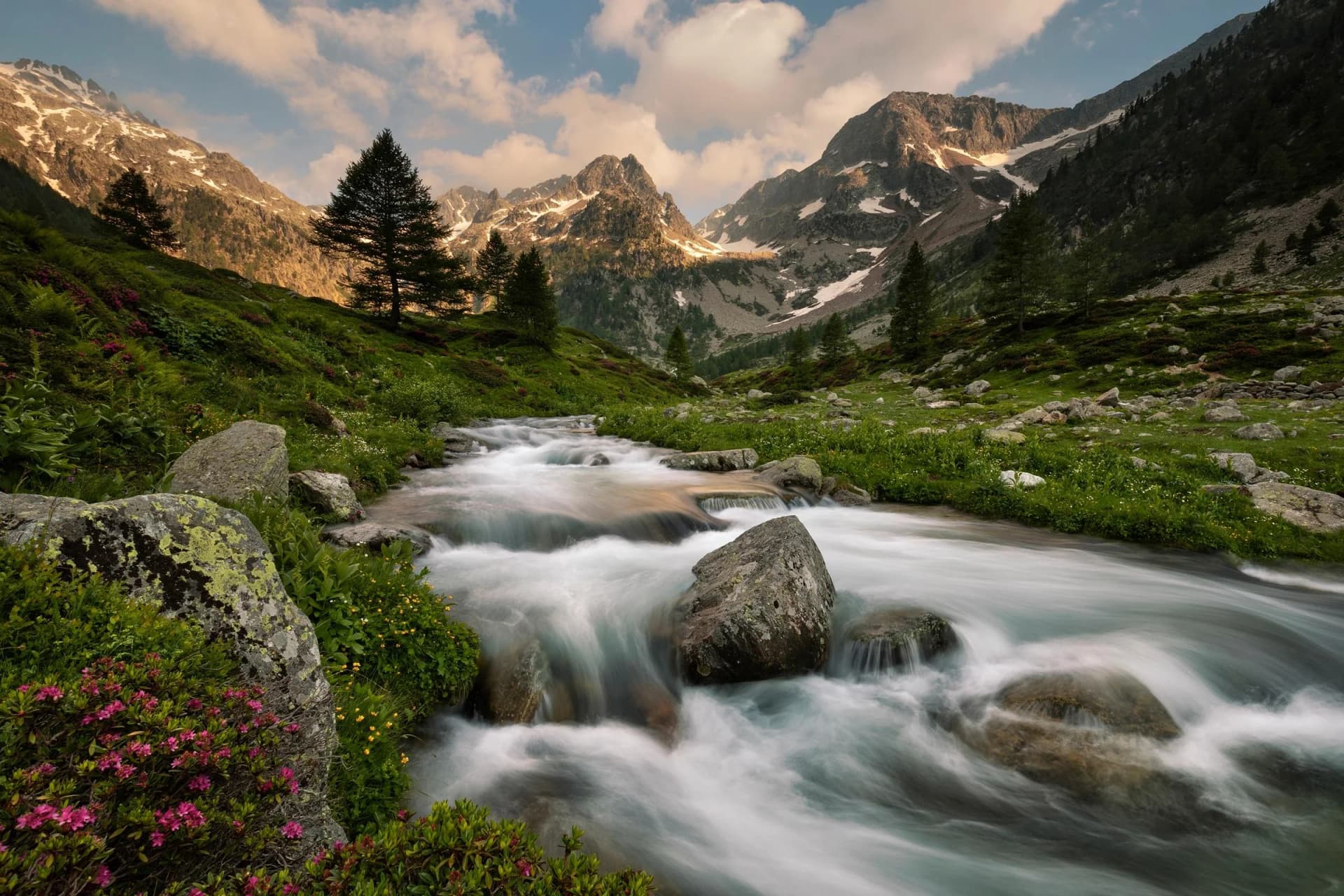 Fototapete PAPERMOON Maritime Alpen Park bunt Vlies
