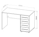 Lomadox Schreibtisch 120cm breit Kaschmir mit 4 Schubladen Bild 5