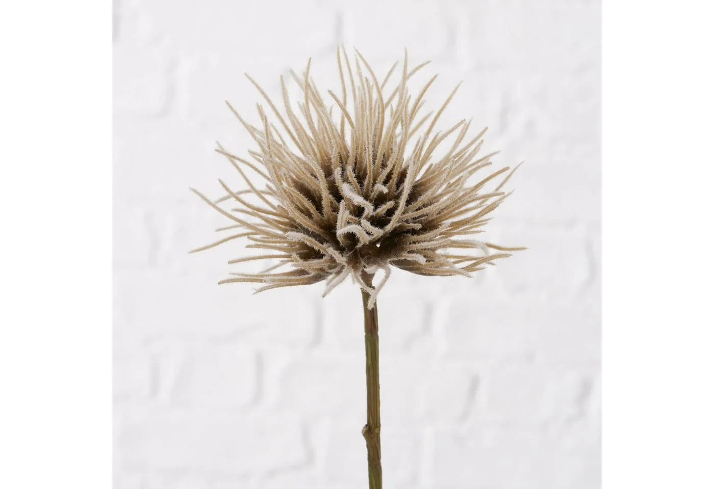 BOLTZE Kunstzweig Dekozweig Blumen Beige/Cremeweiß - Bild 2