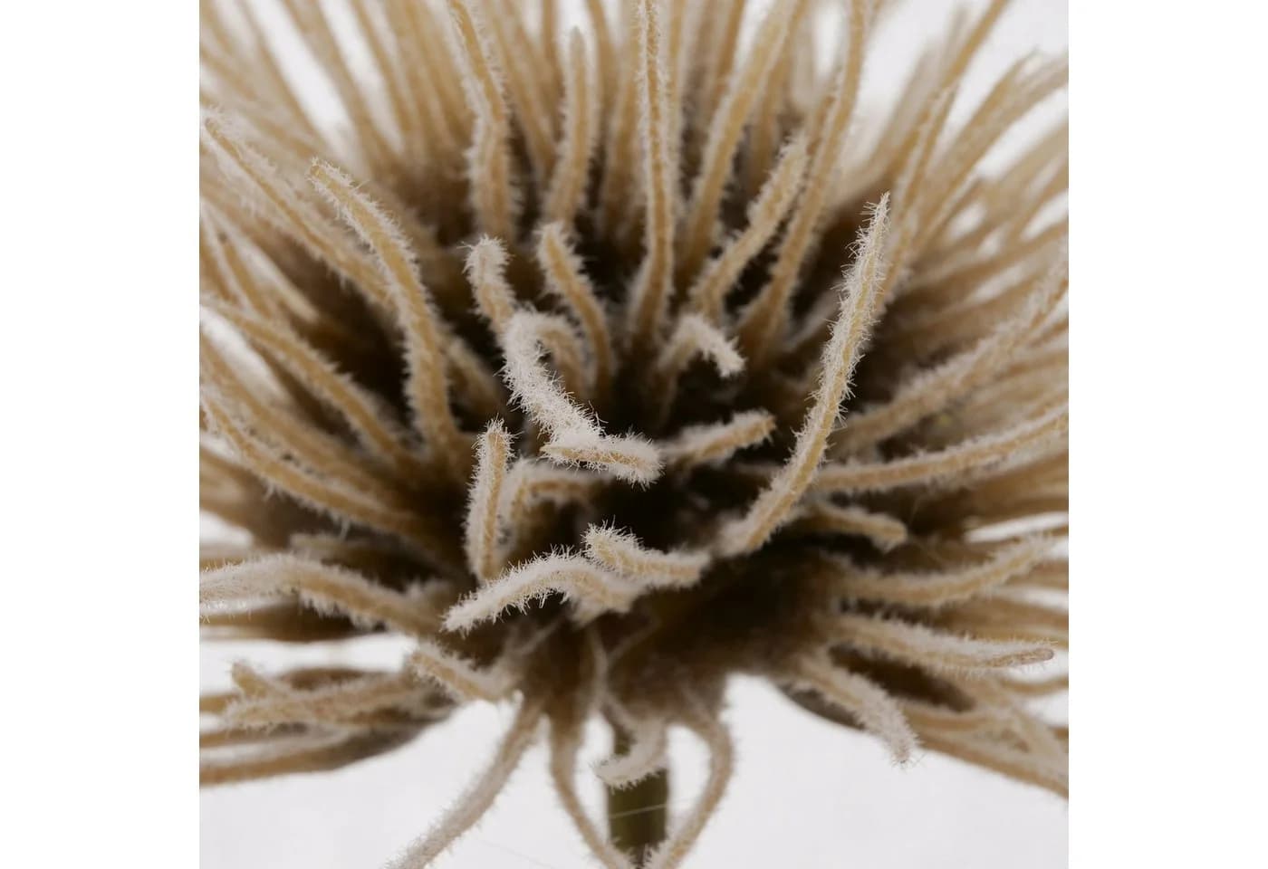 BOLTZE Kunstzweig Dekozweig Blumen Beige/Cremeweiß - Bild 3